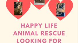 happy life animal rescue patterson