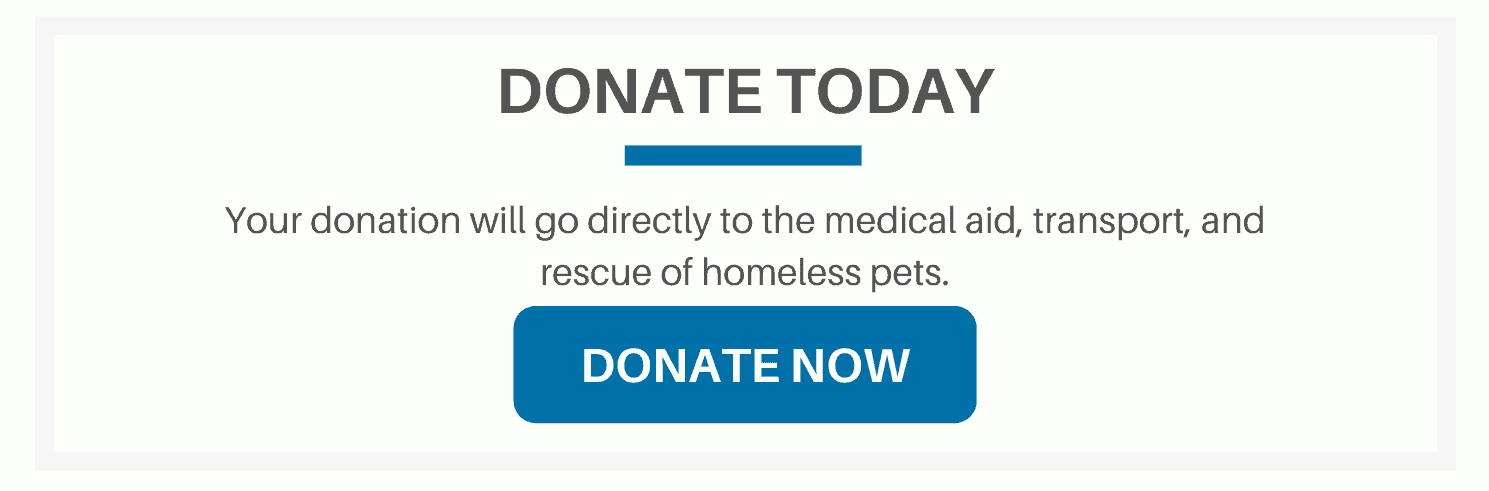 Donate to help the animal rescue cause