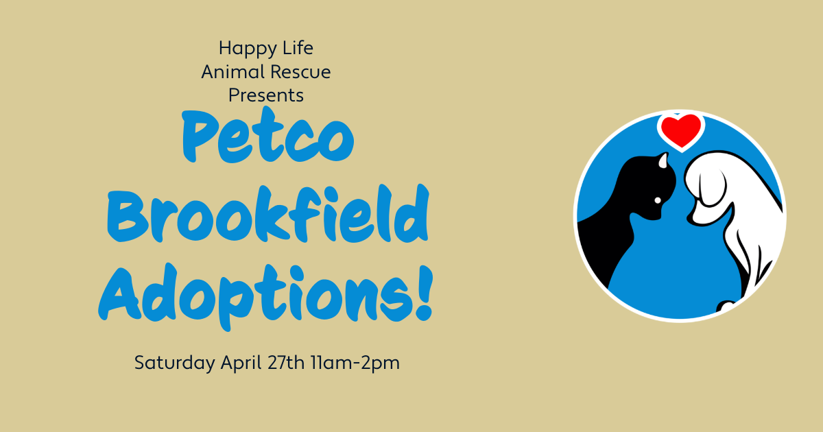 Petco Brookfield Adoptions on Saturday 4/27