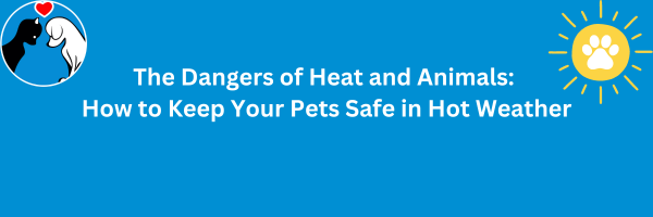 header for dangers of the heat and animals