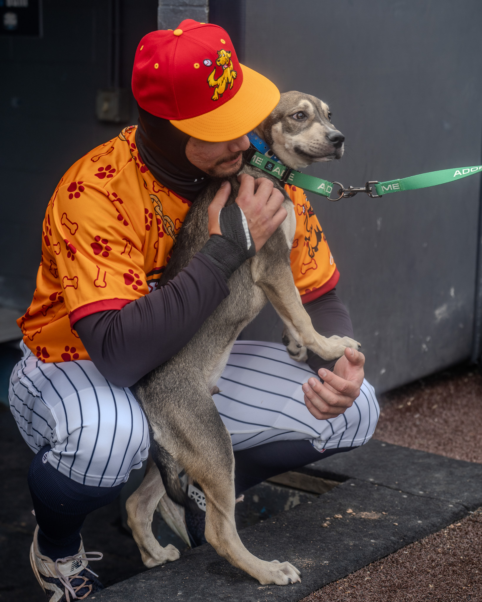 Volunteer doing marketing and outreach work for Happy Life Animal Rescue