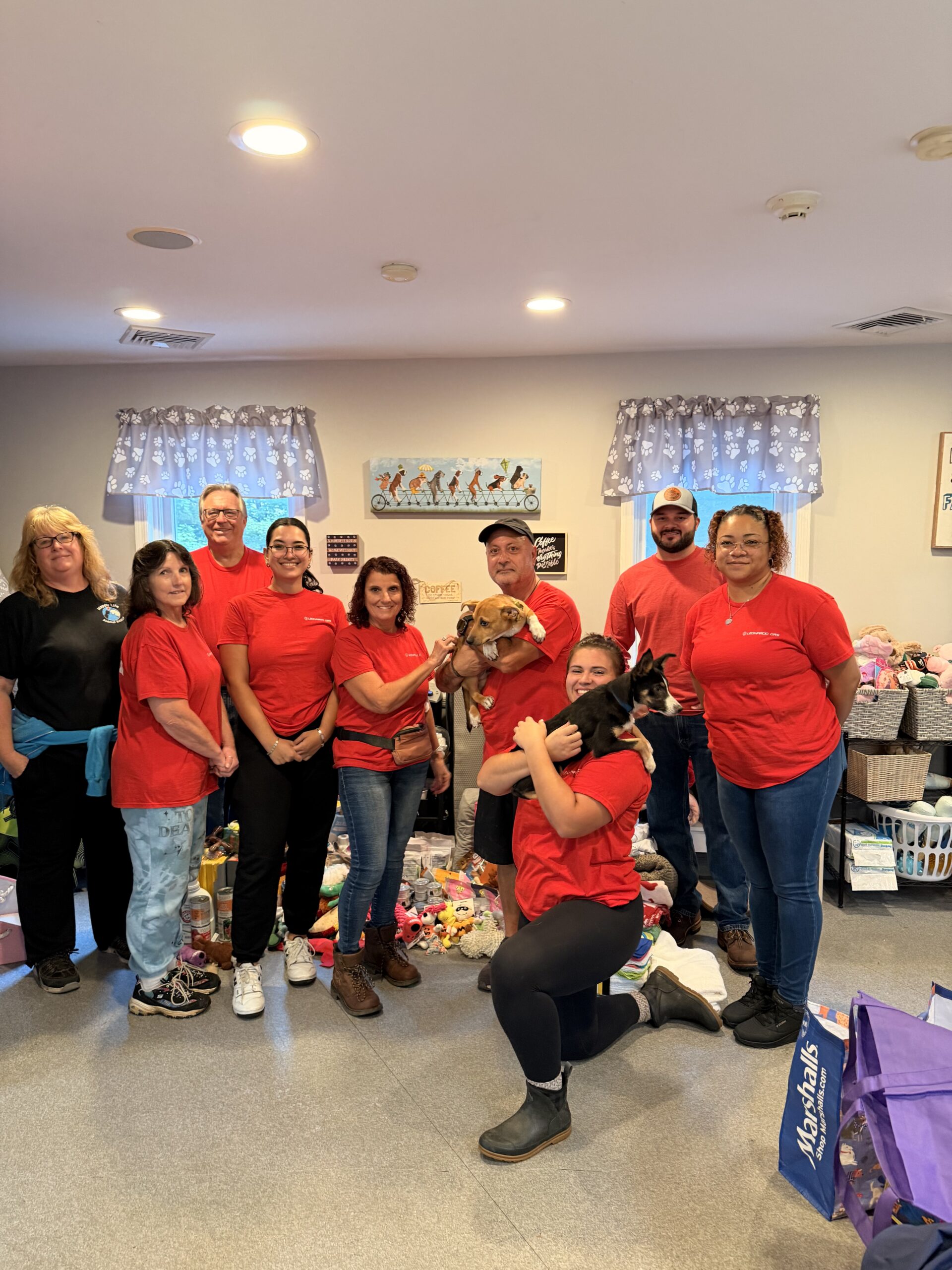 A full company volunteer day at Happy Life Animal Rescue